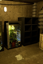 Screenshot #2 - Drug Dealer Simulator 2