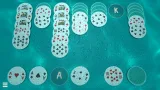 Screenshot #6 - Solitaire Forever II