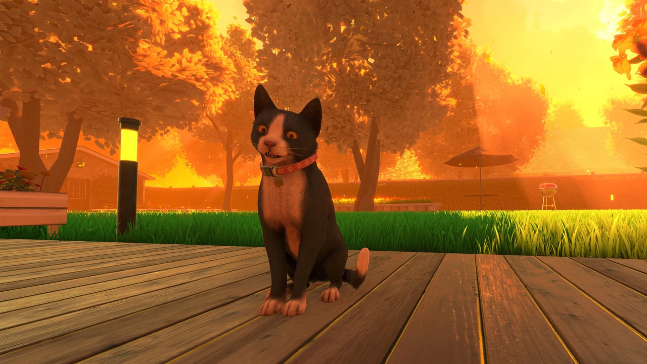 Screenshot #2 - Copycat