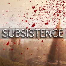 Subsistence: +8 трейнер
