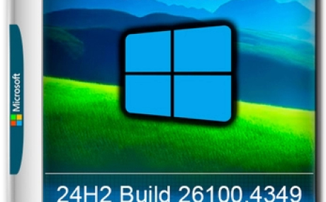 Windows 11 Pro 24H2 Super Lite 26100.4349 by Revision