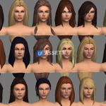 Screenshot #4 - All Star Character Collection