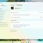 Screenshot #7 - Windows 11 Pro 24H2 Build 26100.4946 Full Август 2025
