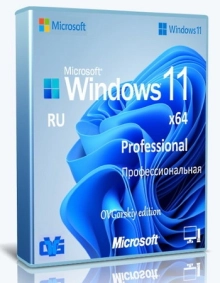 Windows 11 Русская Professional VL x64 24H2 by OVGorskiy 04.2025