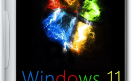Windows 11 Lite 23H2 Build 22631.3007 by Den