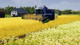 Screenshot #10 - Farm Manager 2021
