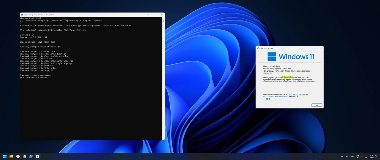 Screenshot #1 - Windows 11 Pro 23H2 [22631.2861 x64] Русская