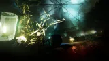 Screenshot #5 - Harvest Hunt