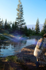 Screenshot #2 - Hunting Simulator 2