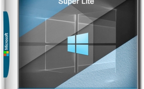 Windows 10 Русская Lite 22H2 Build 19045.5555 by Den