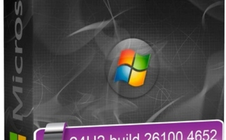 Windows 11 Tweak IoT Enterprise 24H2 build 26100.4652