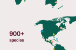 Screenshot #4 - ECOSIA 12.1.3