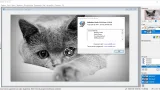 Screenshot #4 - PixBuilder Studio 2.2