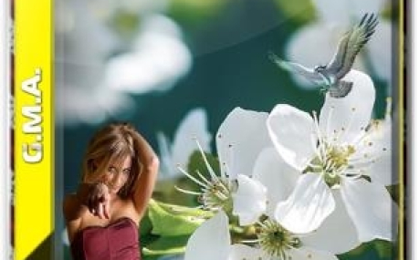 Windows 10 PRO VL 1903 RUS G.M.A. v.19.04.19 64bit