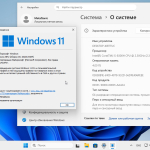 Screenshot #4 - Windows 11 Pro Tiny11 25H2 build 26200.6584 by NTDEV