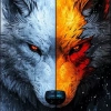 WOLF ONLINE 9.0.4