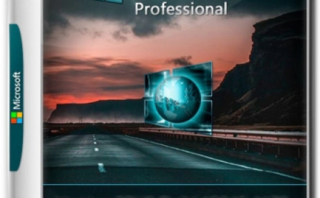 Windows 10 Pro 22H2 19045.4170 x64 Optima