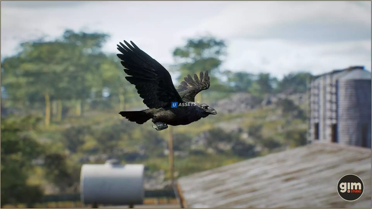 Screenshot #3 - Animalia - Raven