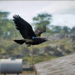 Screenshot #3 - Animalia - Raven