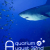 Aquarium at August 32nd