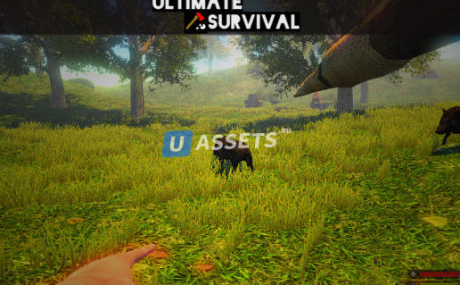 Ultimate Survival