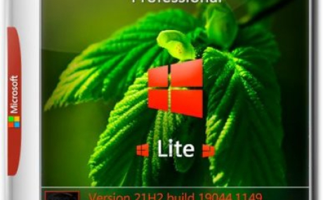 Windows 10 Pro x64 lite 21H2 build 19044.1149 by Zosma