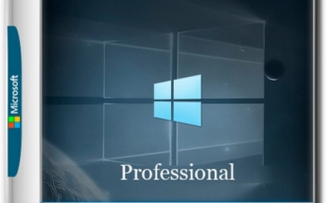 Windows 10 Pro 22H2 Build 19045.5965 Full Июнь 2025