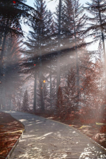 Screenshot #3 - Great North Shelter 2