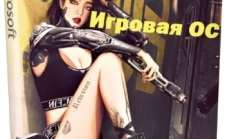 Windows 11 Pro игровая сборка 23H2 Build 22631.3296 by Revision