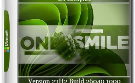 Windows 11 23H2 x64 Русская by OneSmiLe [26040.1000]