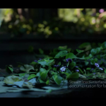 Screenshot #1 - Cinematographer PRO - A Photorealistic Camera System