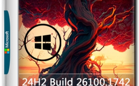 Windows 11 Artistic OS [24H2] 26100.1742 by Teamos