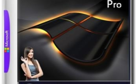 Windows 10 Pro 1803 17134.81 miniLite v.4.18 by naifle 64bit