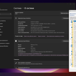 Screenshot #4 - Windows 11 Pro 24H2 Build 26100.2033 Optima