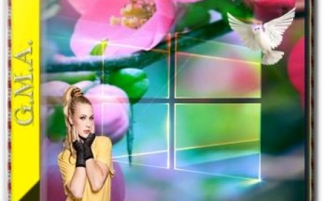 Windows 10 PRO VL 1903 RUS G.M.A. v.23.05.19 64bit