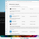 Screenshot #9 - Windows 11 Pro 24H2 Build 26100.4652 by Igors_VL версия с защитником