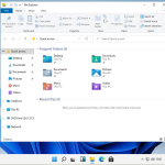 Screenshot #4 - Windows 11 Dev OS x64 Build 21996.1.210529-1541