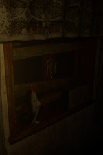 Screenshot #12 - Reflection