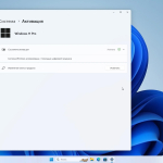 Screenshot #6 - Windows 11 Pro 22H2 22621.1546 no Defender by WebUser