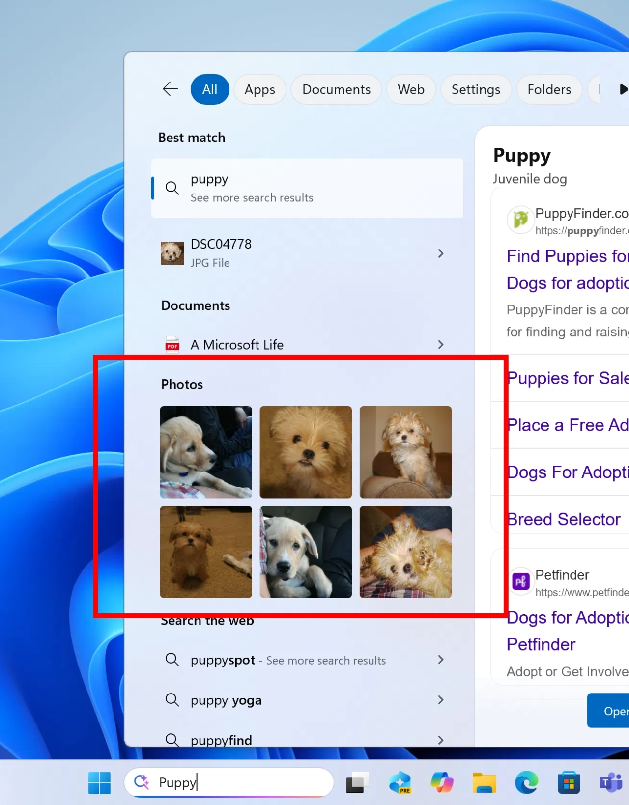 Screenshot #4 - Windows 11 Pro 25H2 Build 26200.5722 Dev