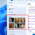 Screenshot #4 - Windows 11 Pro 25H2 Build 26200.5722 Dev