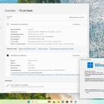 Screenshot #2 - Windows 11 Pro 23H2 Build 22631.4602 Full Декабрь 2024
