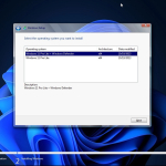 Screenshot #8 - Windows 11 Pro Lite +/- Windows Defender by Ankh Tech 10.2023