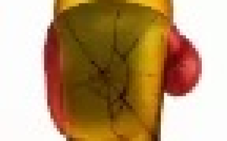 BEER MAT FIGHTING AR 1.0