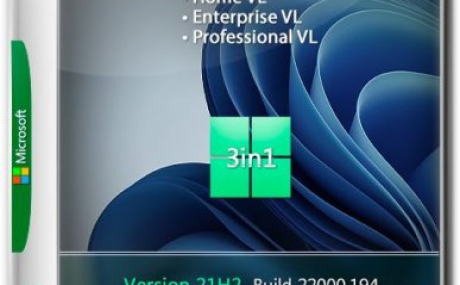 Windows 11 3in1 VL (x64) v.10.10.21 Elgujakviso Edition