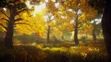 Screenshot #4 - Trees Variety