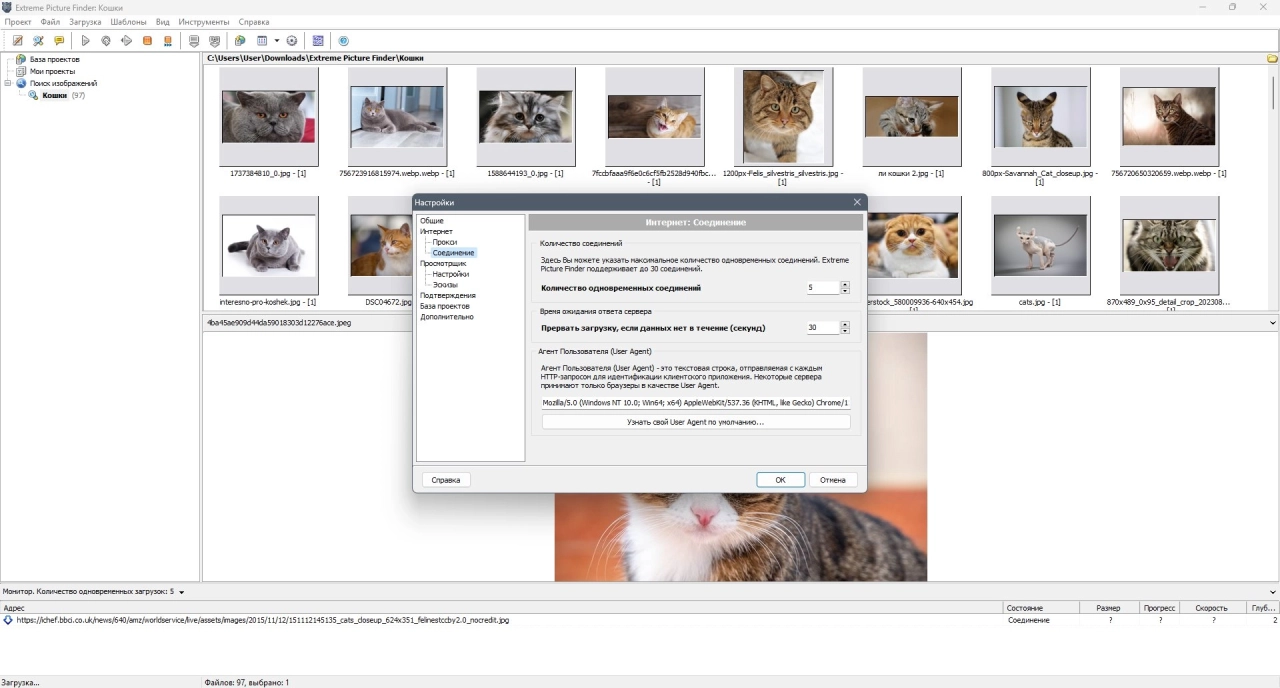 Screenshot #4 - Поиск картинок Extreme Picture Finder 3.65.11.0 RePack by elchupacabra