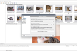 Screenshot #4 - Поиск картинок Extreme Picture Finder 3.65.11.0 RePack by elchupacabra