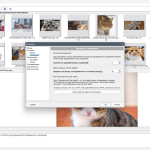 Screenshot #4 - Поиск картинок Extreme Picture Finder 3.65.11.0 RePack by elchupacabra