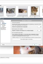 Screenshot #4 - Поиск картинок Extreme Picture Finder 3.65.11.0 RePack by elchupacabra